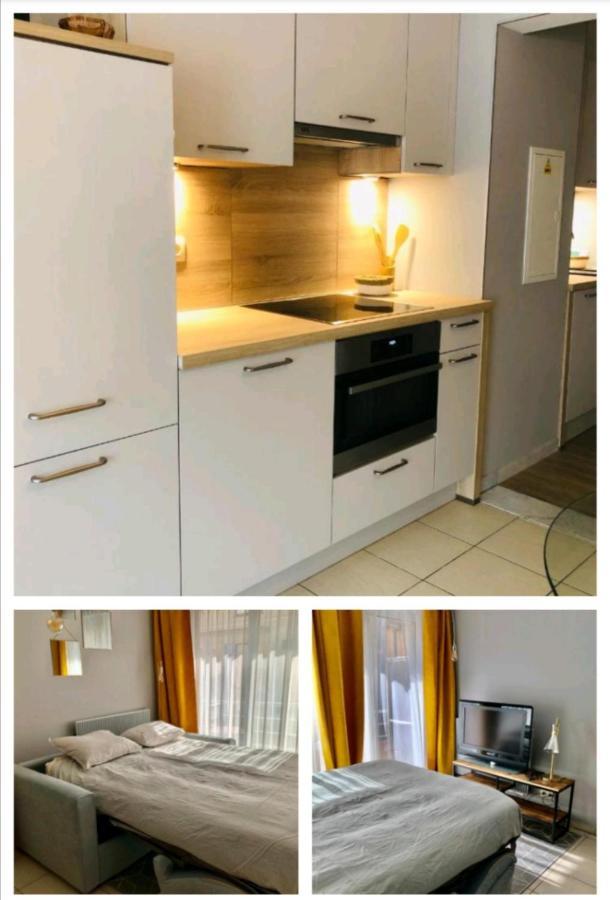 Studio Lägenhet Nieuwpoort Exteriör bild